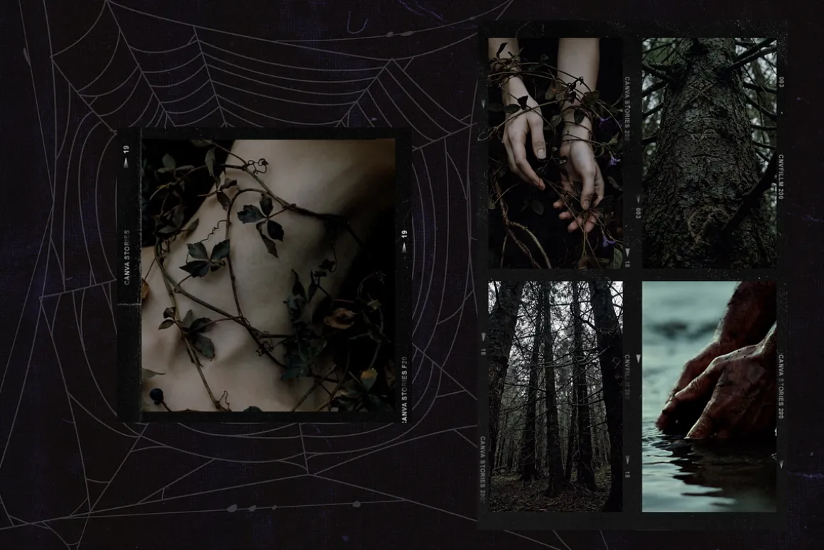 Darkwood Aesthetic Video Bundle