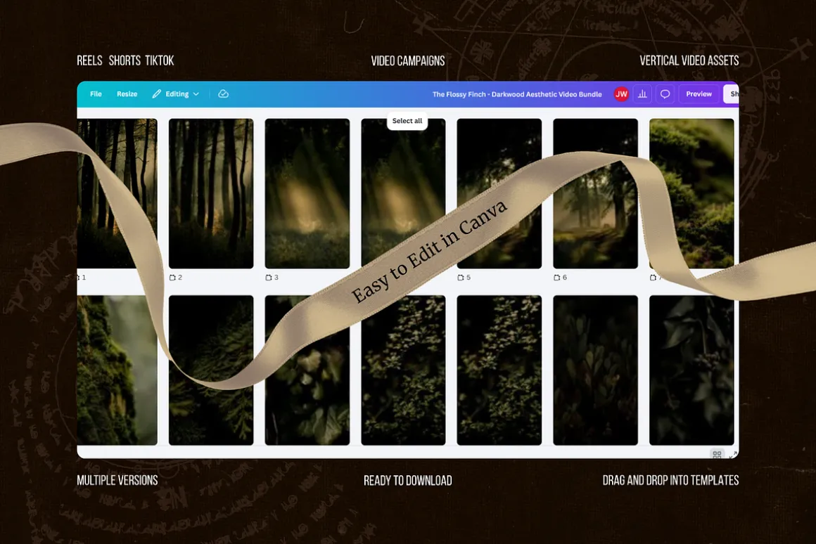 Darkwood Aesthetic Video Bundle