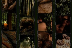 Darkwood Aesthetic Video Bundle