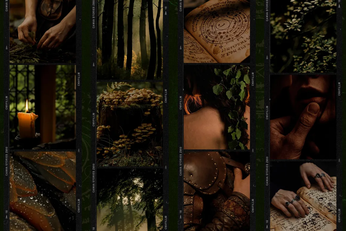 Darkwood Aesthetic Video Bundle