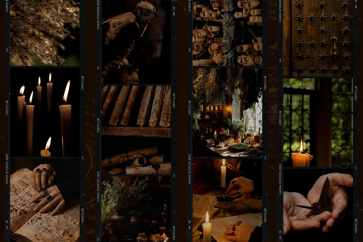 Darkwood Aesthetic Video Bundle