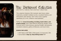 Darkwood Aesthetic Video Bundle