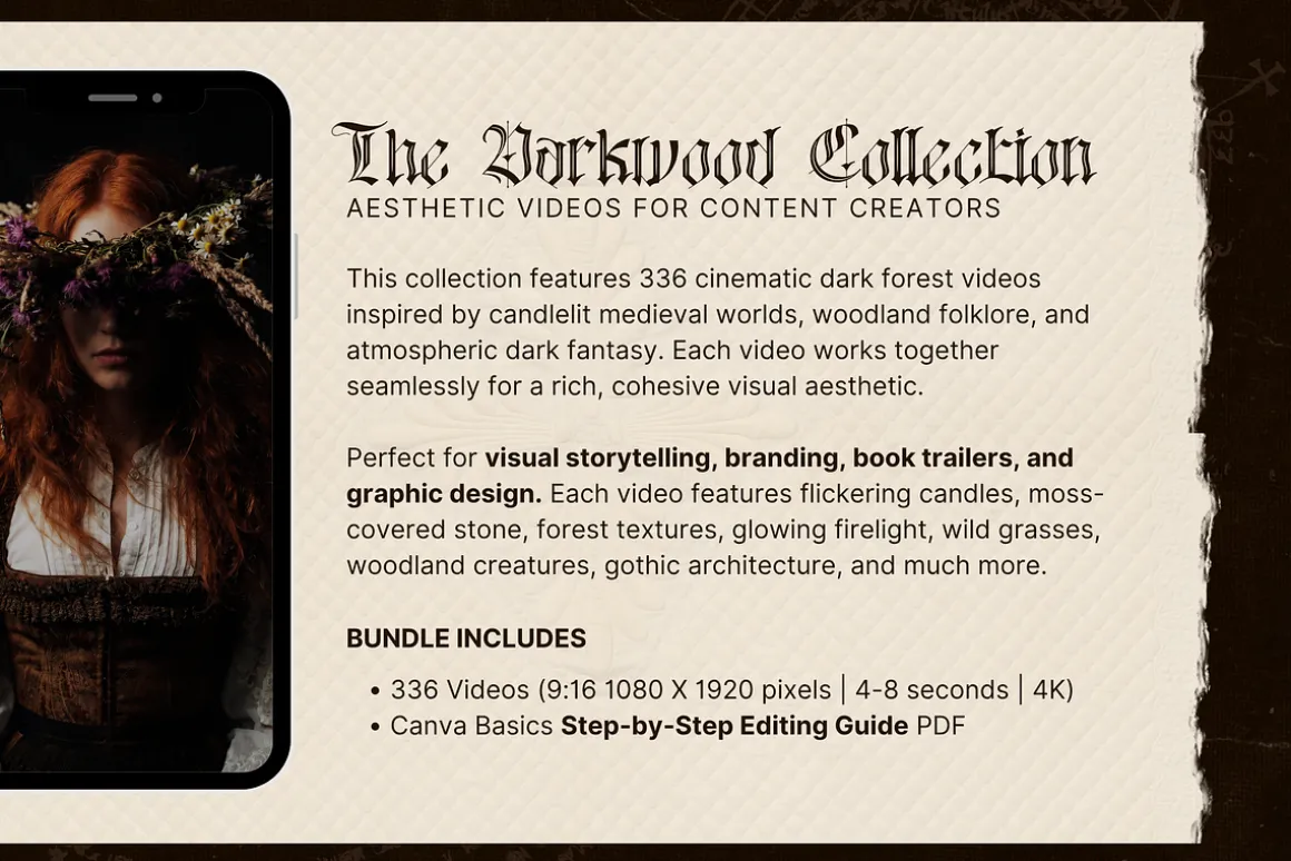 Darkwood Aesthetic Video Bundle