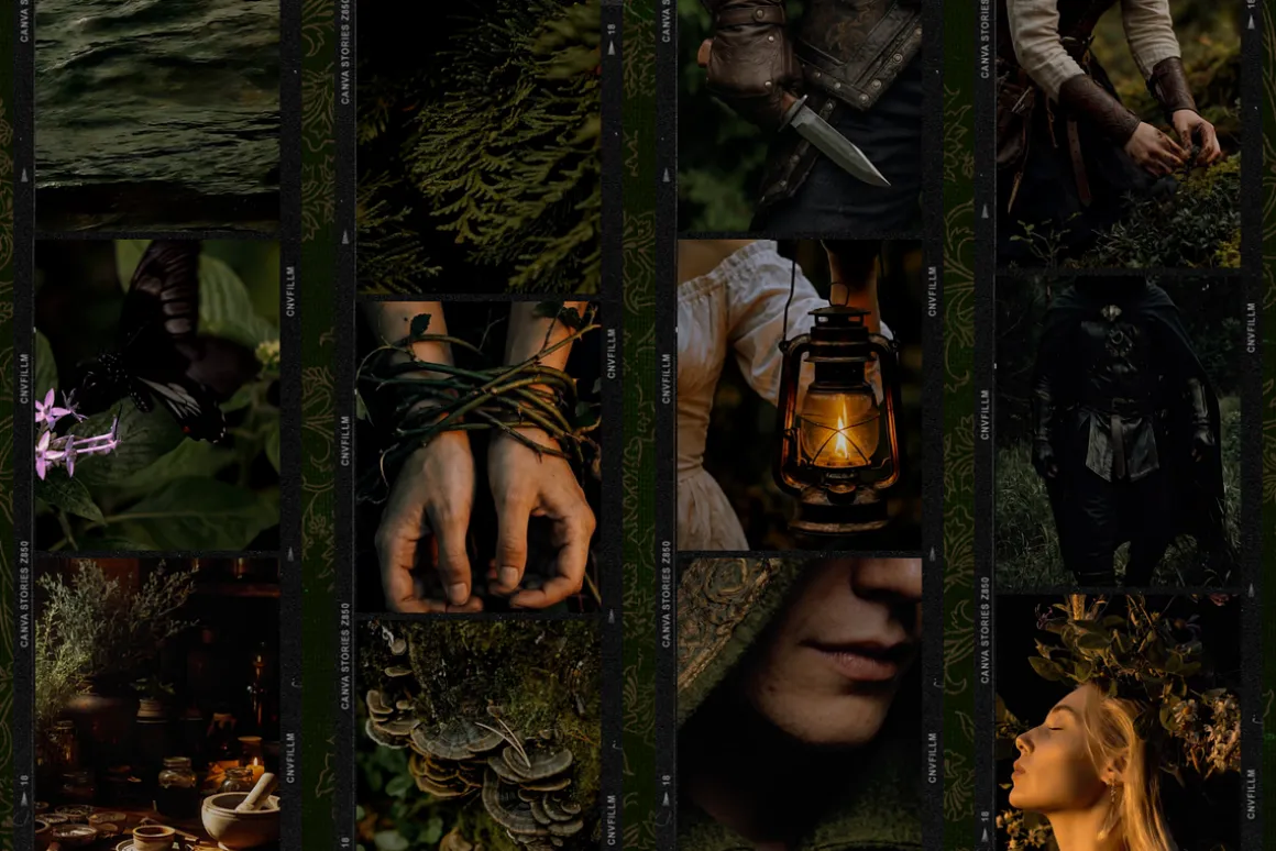 Darkwood Aesthetic Video Bundle