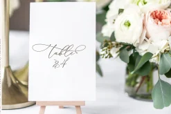 Darling Modern // Luxury Font