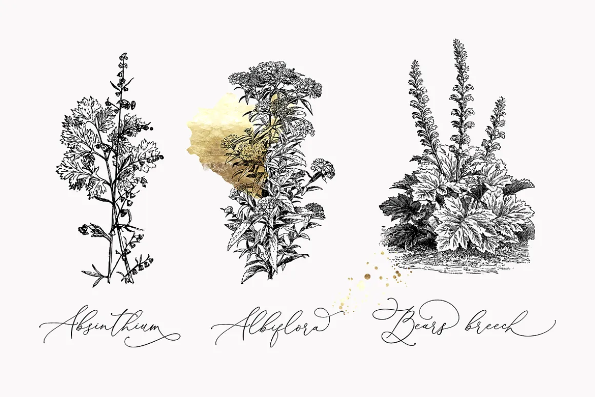 Darling Modern // Luxury Font