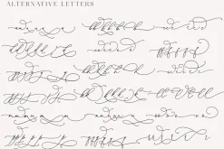 Darling Modern // Luxury Font