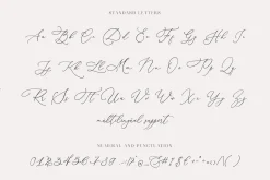 Darling Modern // Luxury Font