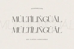 De Brunce - Stylish Ligature Font