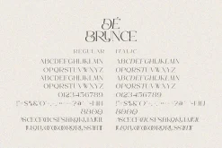De Brunce - Stylish Ligature Font