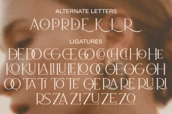 Decorya - 3 Font Modern