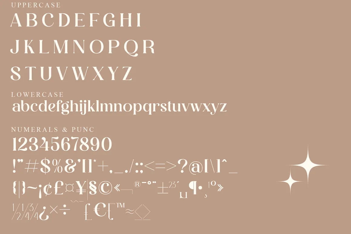 Degila Modern and Stylish Serif Font