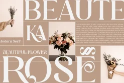 Degila Modern and Stylish Serif Font