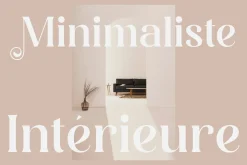 Degila Modern and Stylish Serif Font