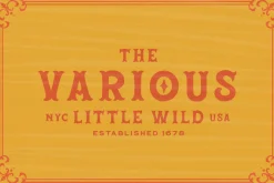 Dehors - Western Display Typeface