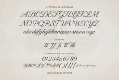 De Lesa Paquetts Classic Script Font