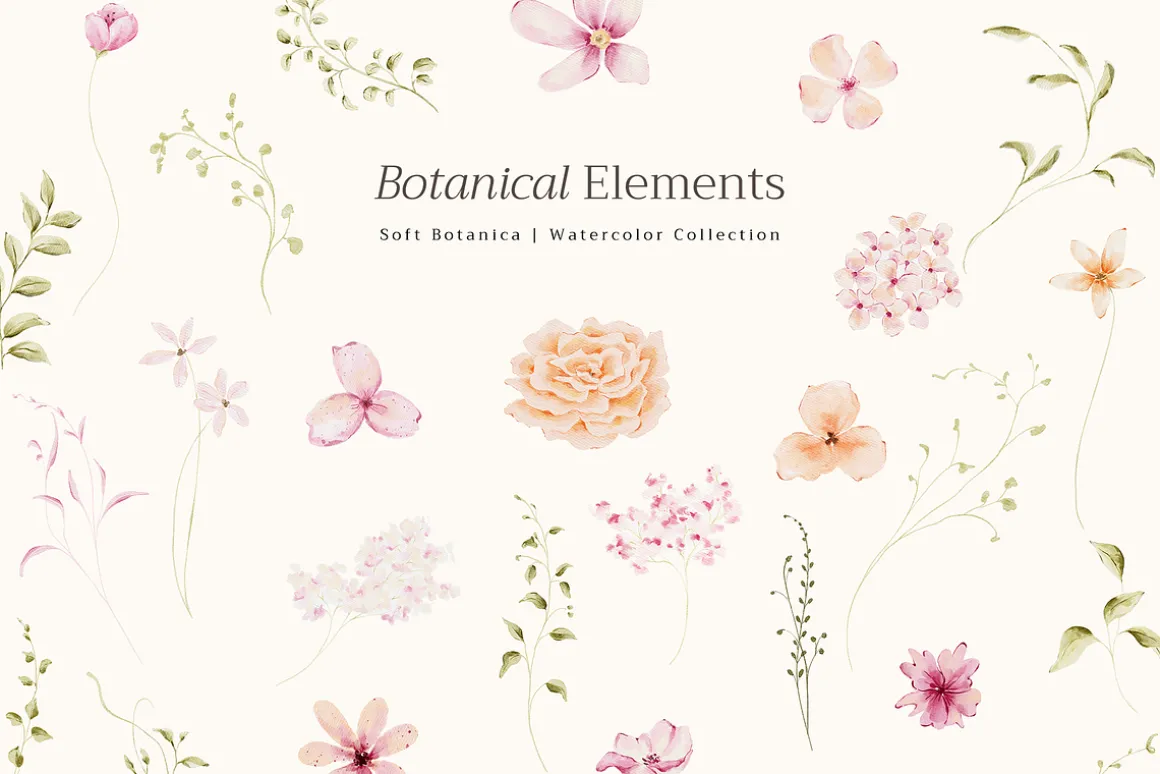 Delicate Pastel Watercolor Flowers