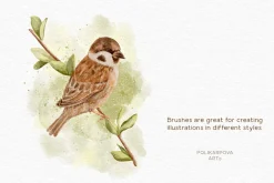 Delicate Watercolor Brushes & Canvas