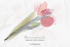 Delicate Watercolor Tulip Clipart