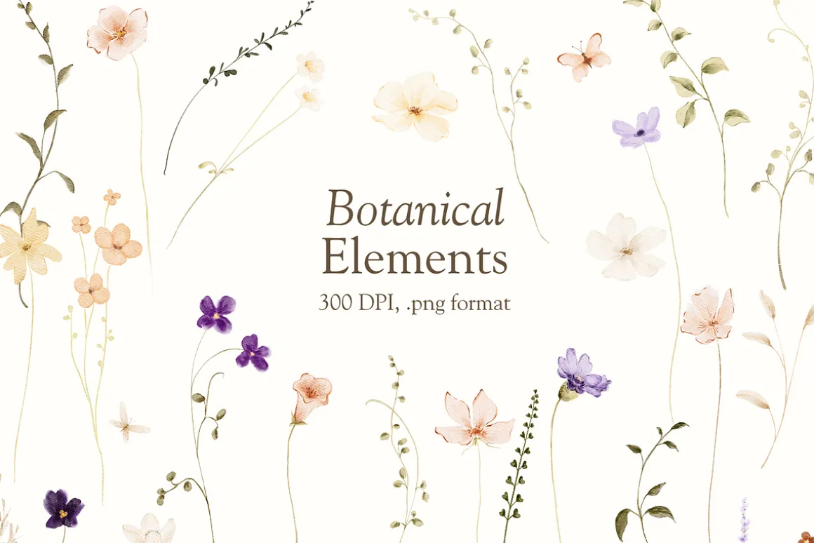 Delicate Watercolor Wildflowers