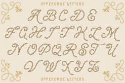 Desert Rope Font Duo