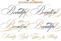 Desirable Brush Texture