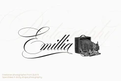 Desirable Calligraphy