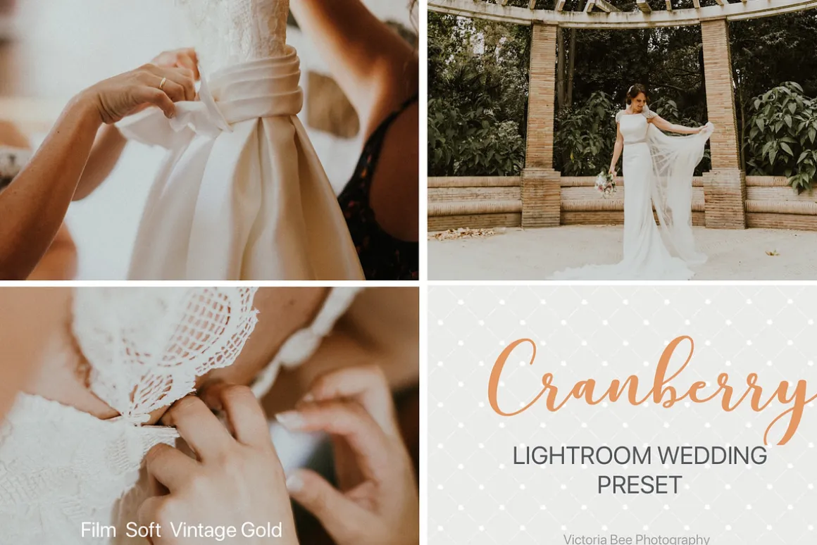 Desktop Lightroom Presets CRANBERRY