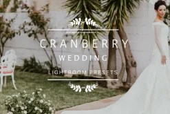 Desktop Lightroom Presets CRANBERRY