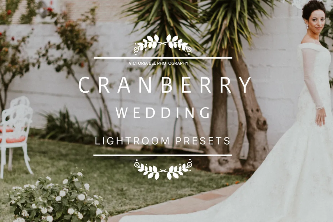 Desktop Lightroom Presets CRANBERRY
