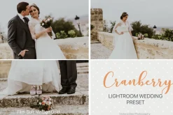 Desktop Lightroom Presets CRANBERRY