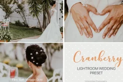 Desktop Lightroom Presets CRANBERRY