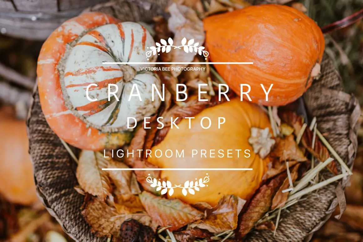 Desktop Lightroom Presets CRANBERRY