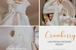 Desktop Lightroom Presets CRANBERRY