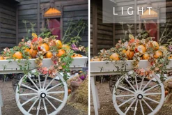 Desktop Lightroom Presets CRANBERRY