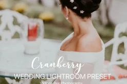 Desktop Lightroom Presets CRANBERRY