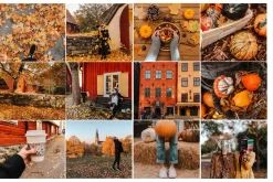 Desktop Lightroom Presets CRANBERRY