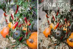 Desktop Lightroom Presets CRANBERRY