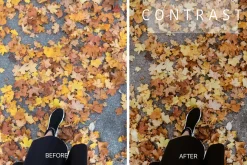 Desktop Lightroom Presets CRANBERRY