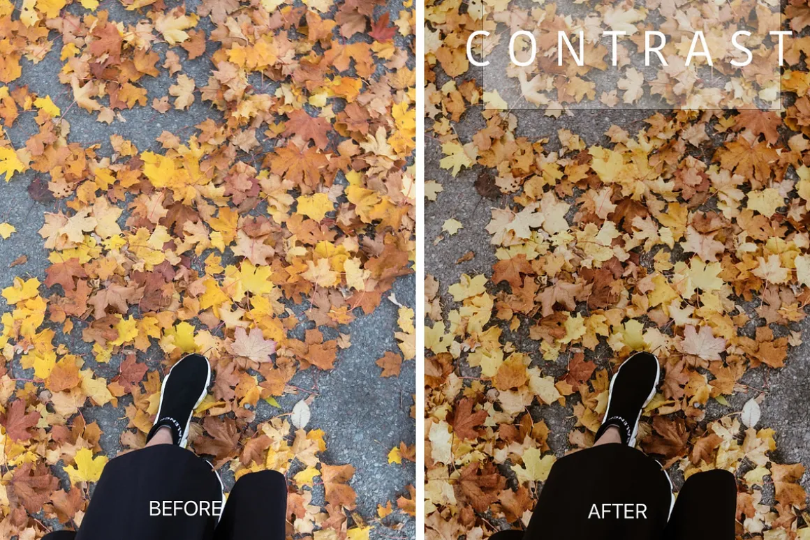 Desktop Lightroom Presets CRANBERRY