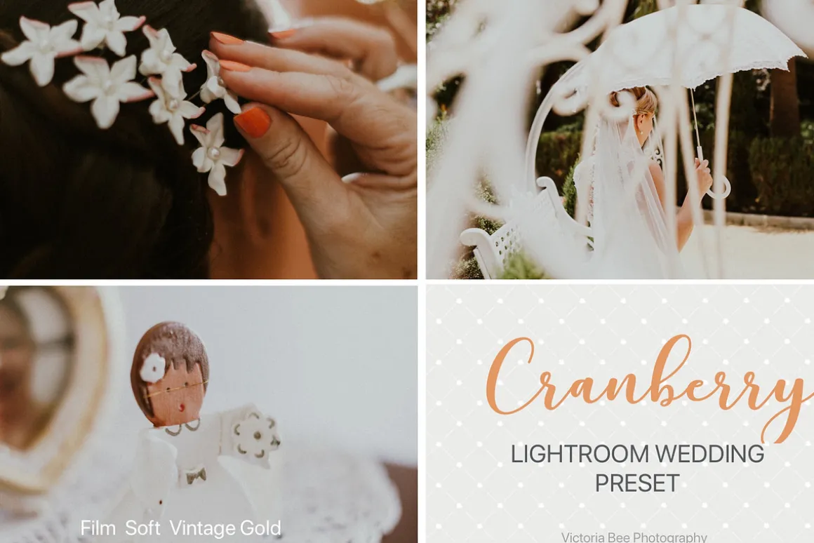 Desktop Lightroom Presets CRANBERRY