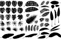 Detailed tropical leaves