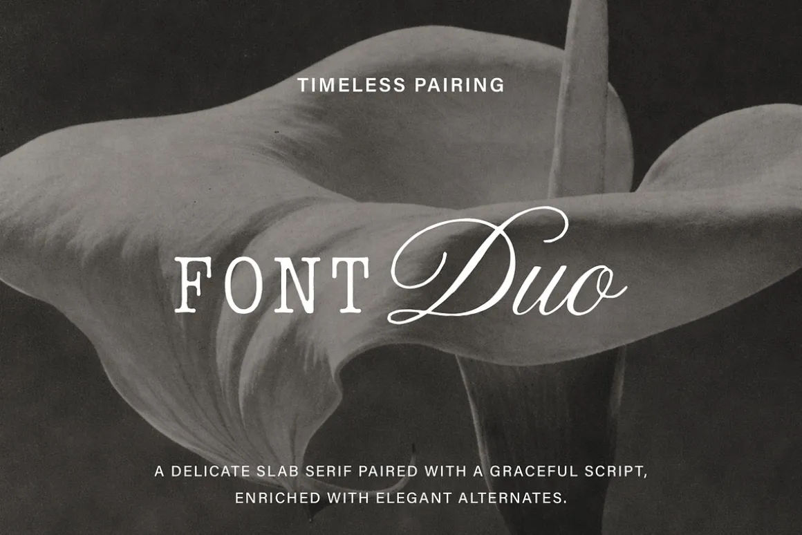 Details - Refined Font Duo