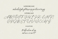 Diamond Beach Handwritten Font