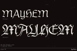 Disarm TM – Distressed Fraktur
