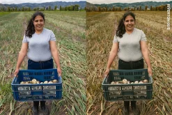 Documentary Lightroom Presets & LUTs
