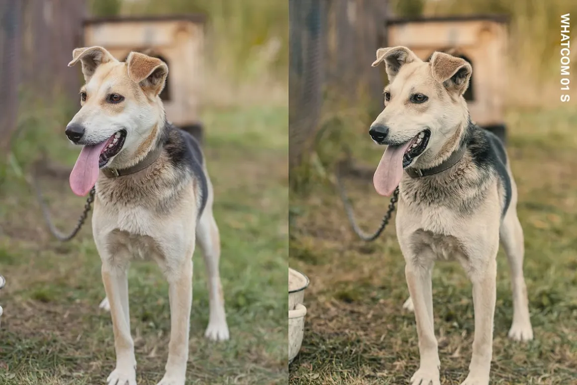 Documentary Lightroom Presets & LUTs