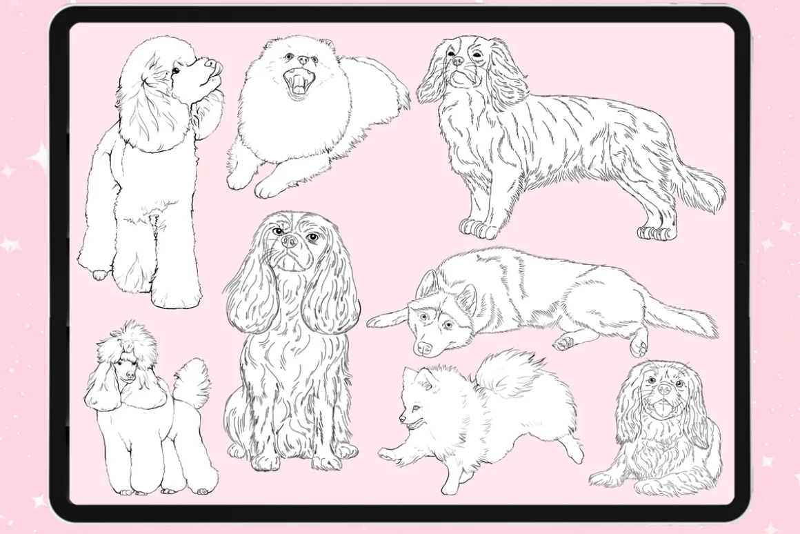 Dog Animal procreate photoshop brush