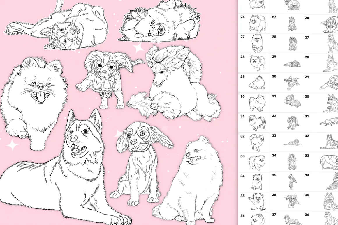 Dog Animal procreate photoshop brush