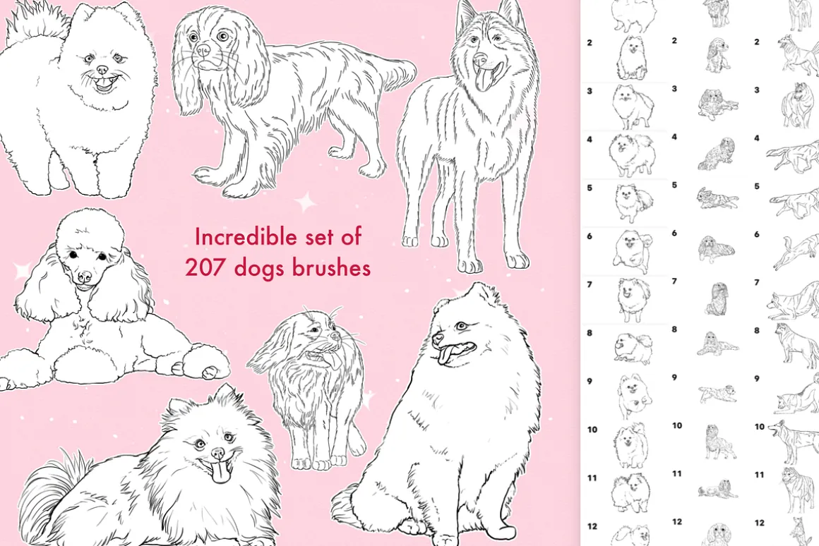 Dog Animal procreate photoshop brush